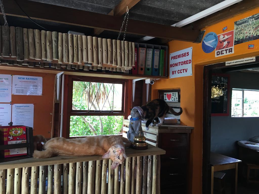 Albergo For Backpackers 普勒滕贝格湾 外观 照片