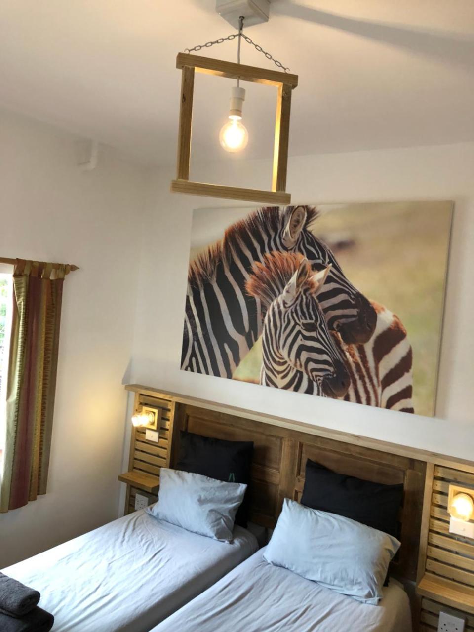 Albergo For Backpackers 普勒滕贝格湾 外观 照片