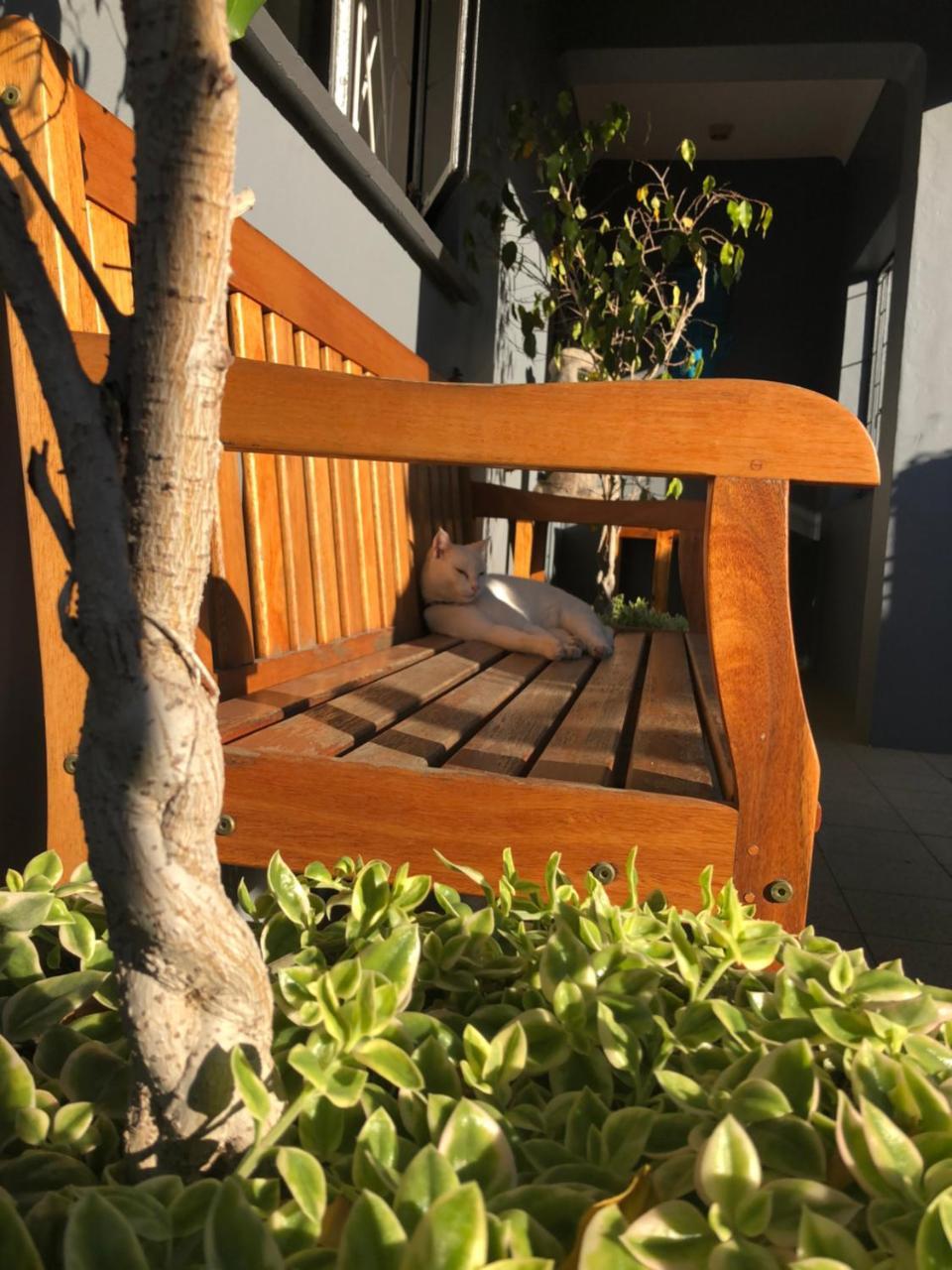 Albergo For Backpackers 普勒滕贝格湾 外观 照片