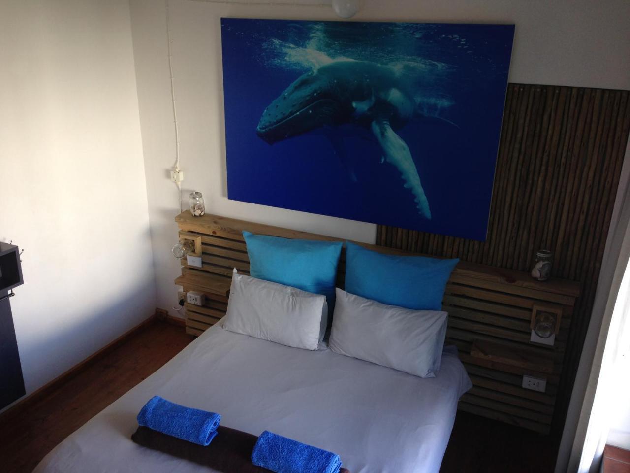 Albergo For Backpackers 普勒滕贝格湾 外观 照片