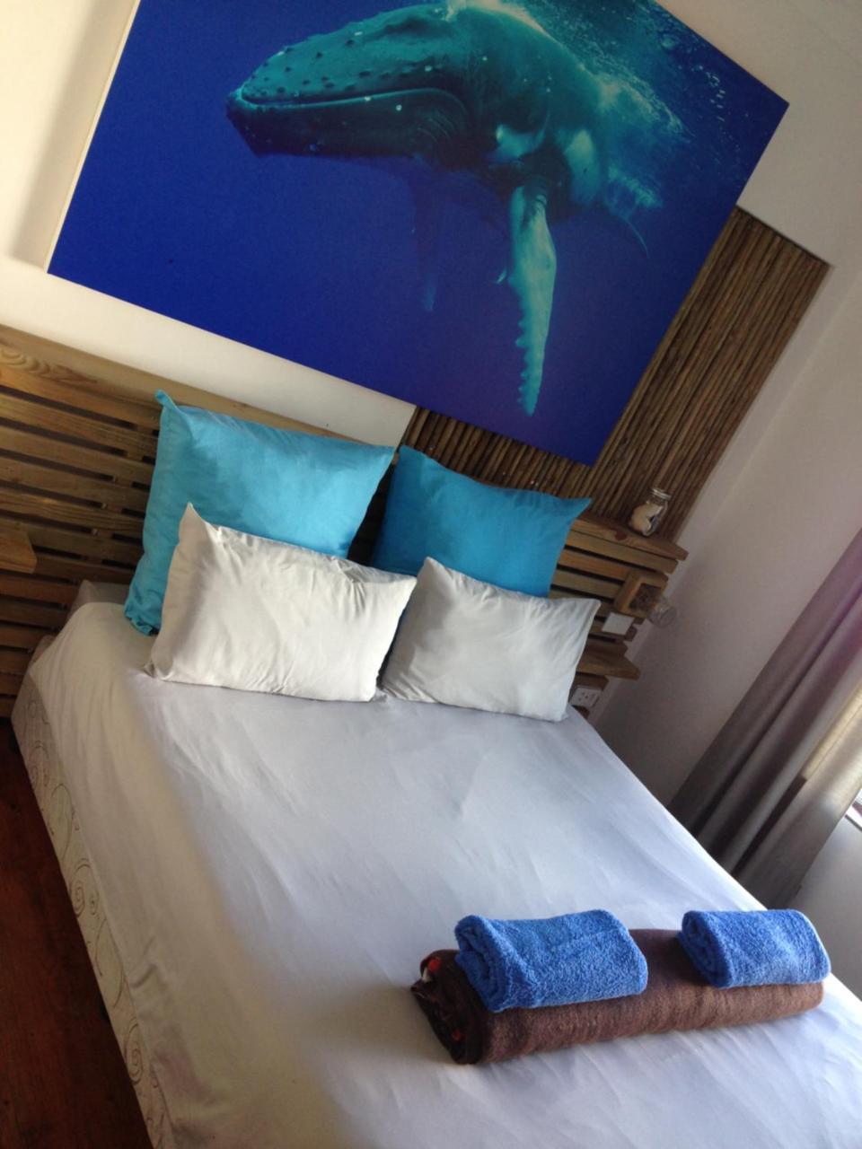 Albergo For Backpackers 普勒滕贝格湾 外观 照片
